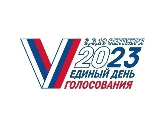 В Самойловском районе продолжается голосование на выборах в представительные органы местного самоуправления