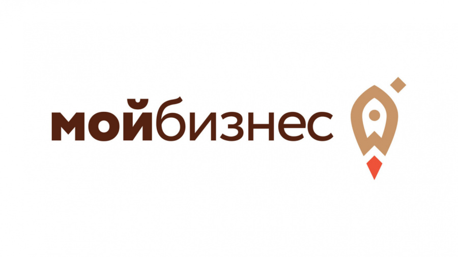 «Малое и среднее предпринимательство и поддержка индивидуальной предпринимательской инициативы»