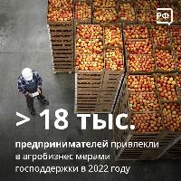 В 2022 году на поддержку малого агробизнеса выделили 5,6 млрд рублей. За счёт этого в сферу пришли 18,3 тыс. предпринимателей — об этом сообщила вице-премьер Виктория Абрамченко
