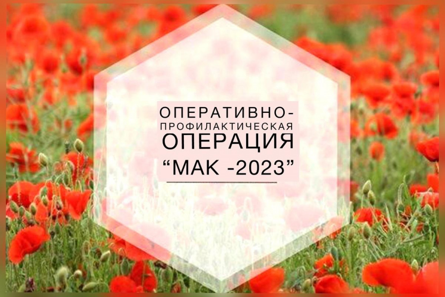 На территории Саратовской области проводится третий этап межведомственной оперативно-профилактической операции «Мак-2023»