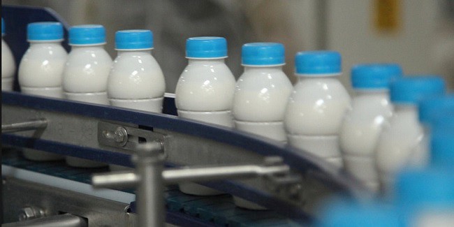 Информация для участников оборота молочной продукции 