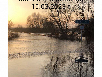 Из-за резкого подъема воды в р. Терса по состоянию на 8:00 10.03.2023 г. в Самойловском районе подтоплены два низководных моста