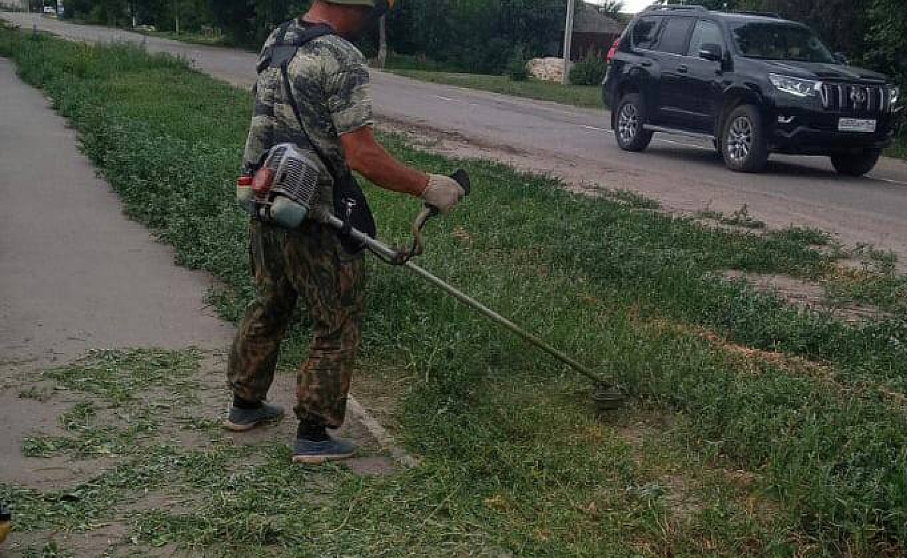 Погода в самойловке на неделю