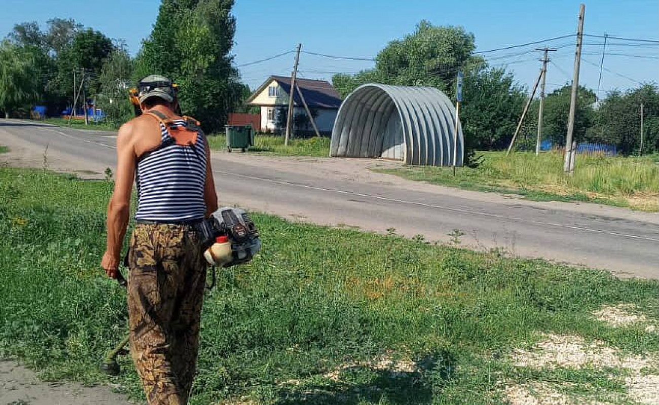 Погода в самойловке на неделю